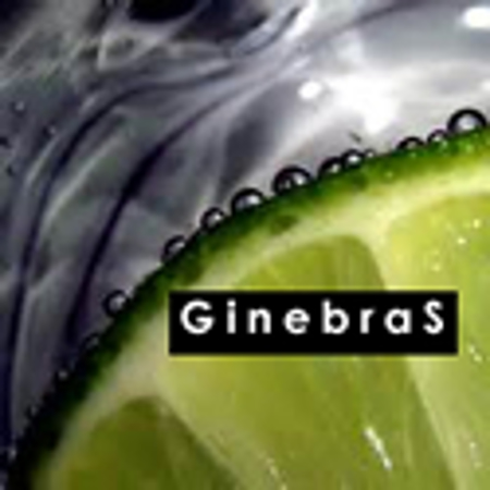 Imagen para la categoría Ginebras